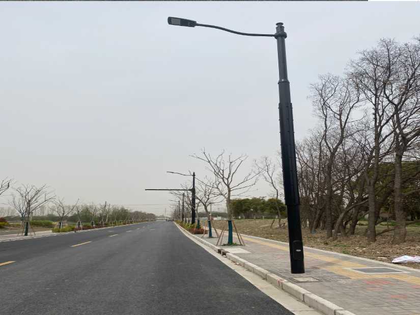 宁海县上海综合杆 太阳能路灯工程